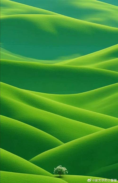 如何打开手机录音功能 如何打开手机录音功能