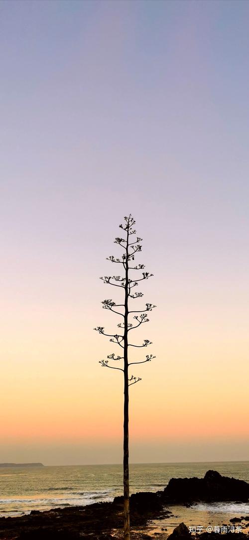 一个手机号可以注册几个qq账号 一个手机号可以注册几个qq账号